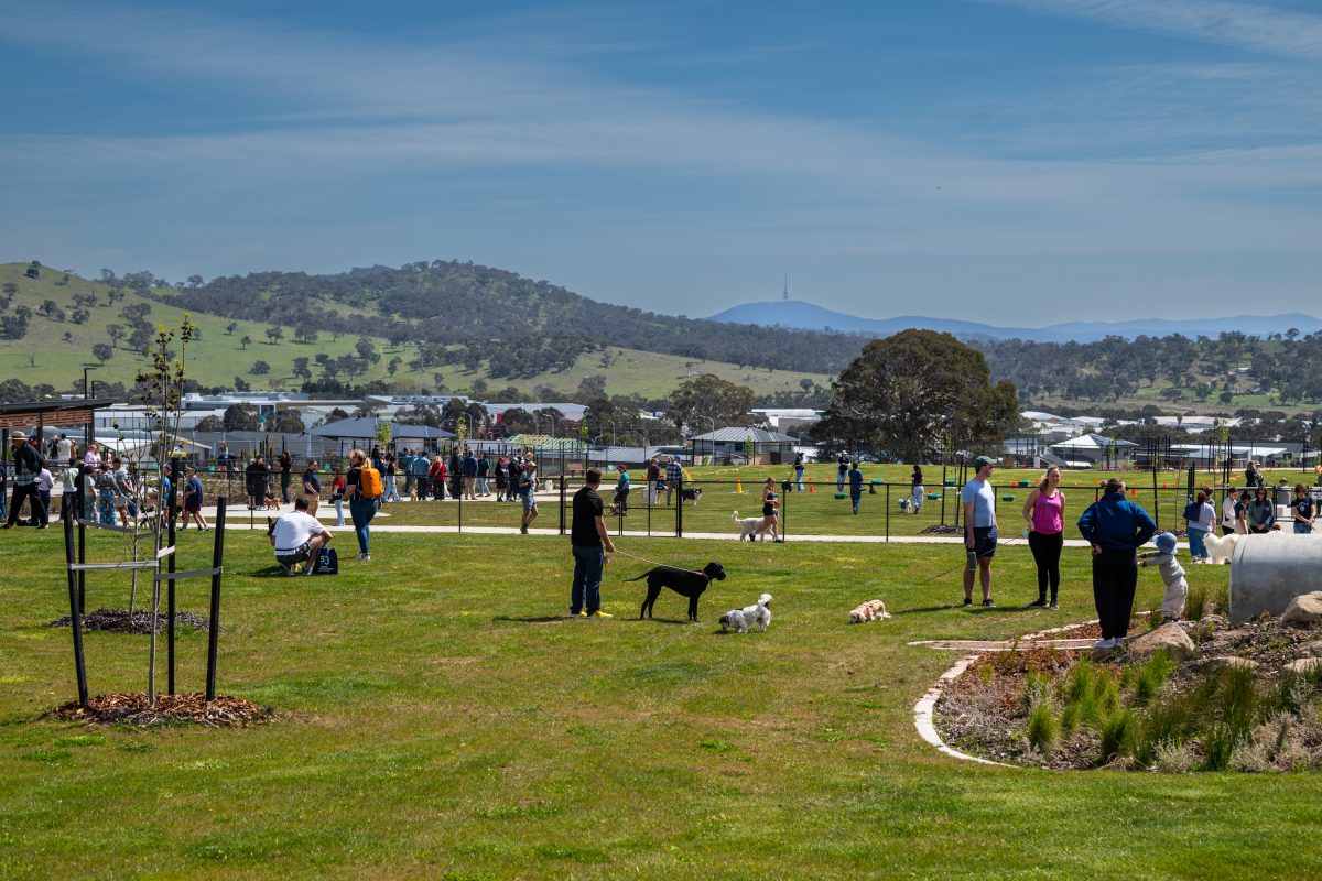 South Jerrabomberra image
