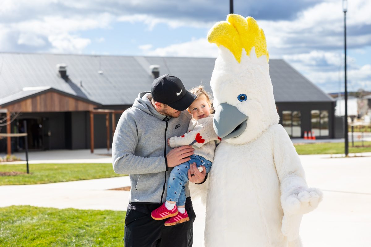 South Jerra – Sneak Peek at the Parks Transforming the community! image